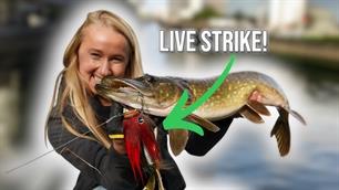 Charlies Fishing