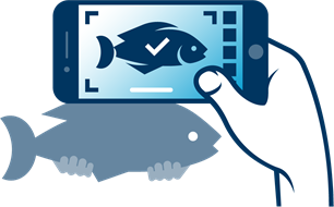Sportvisserij Nederland lanceert wereldwijd unieke app voor visherkenning